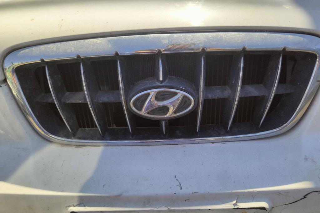 Body  Grilles Hyundai Avante