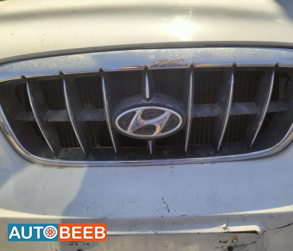 Body  Grilles Hyundai Avante