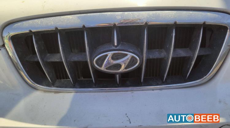 Body  Grilles Hyundai Avante