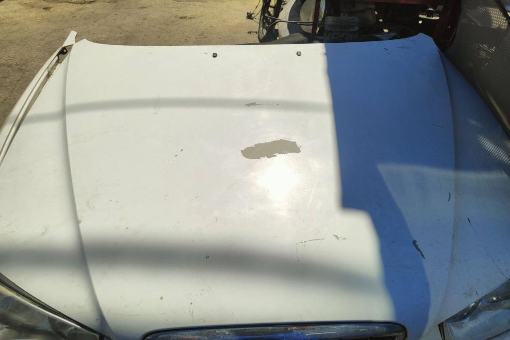 Body  Hood Hyundai Avante