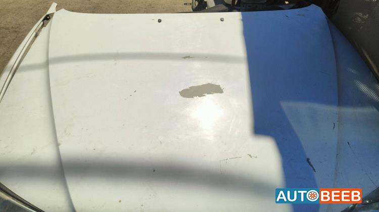 Body  Hood Hyundai Avante