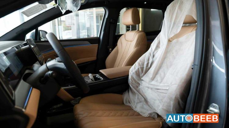 بي واي دي سونج ل 2025