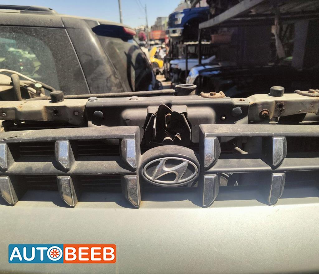 Body  Grilles Hyundai Verna