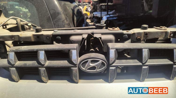 Body  Grilles Hyundai Verna