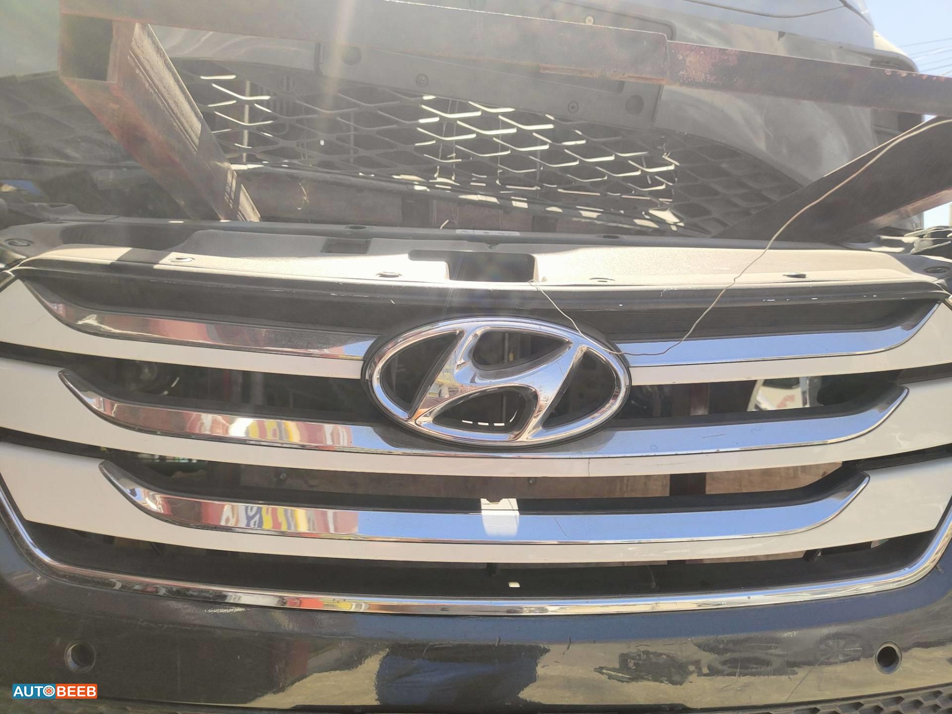 Body  Grilles Hyundai Santa Fe