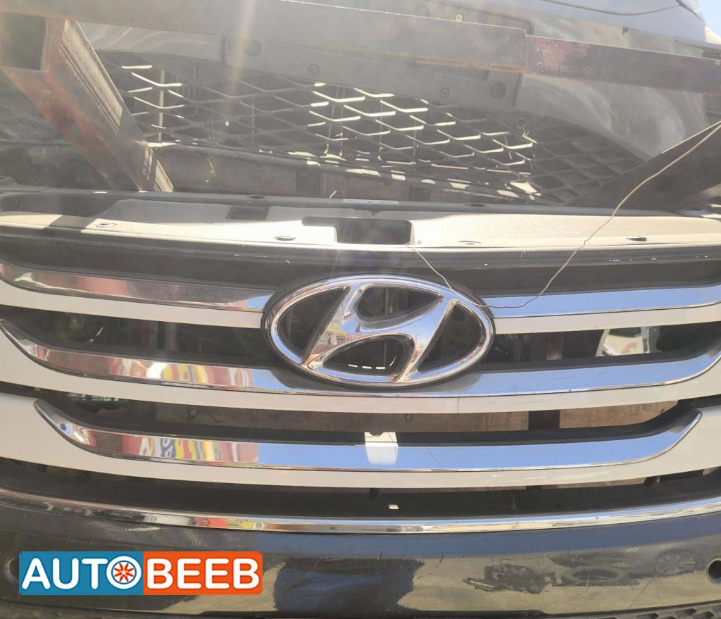 Body  Grilles Hyundai Santa Fe