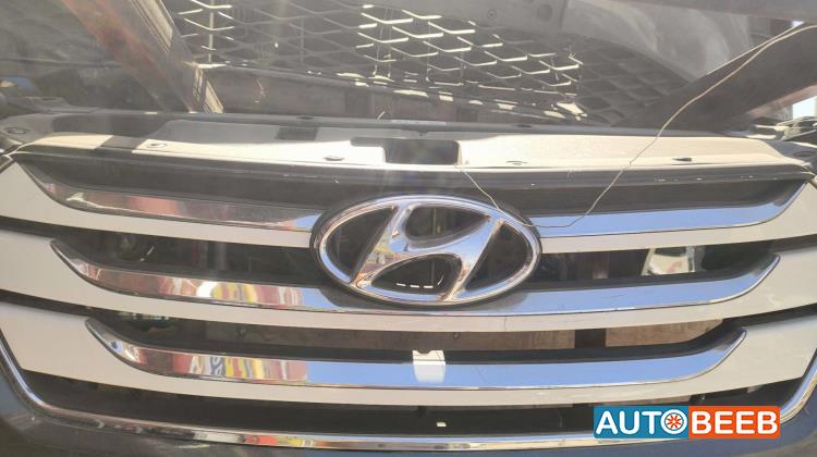 Body  Grilles Hyundai Santa Fe
