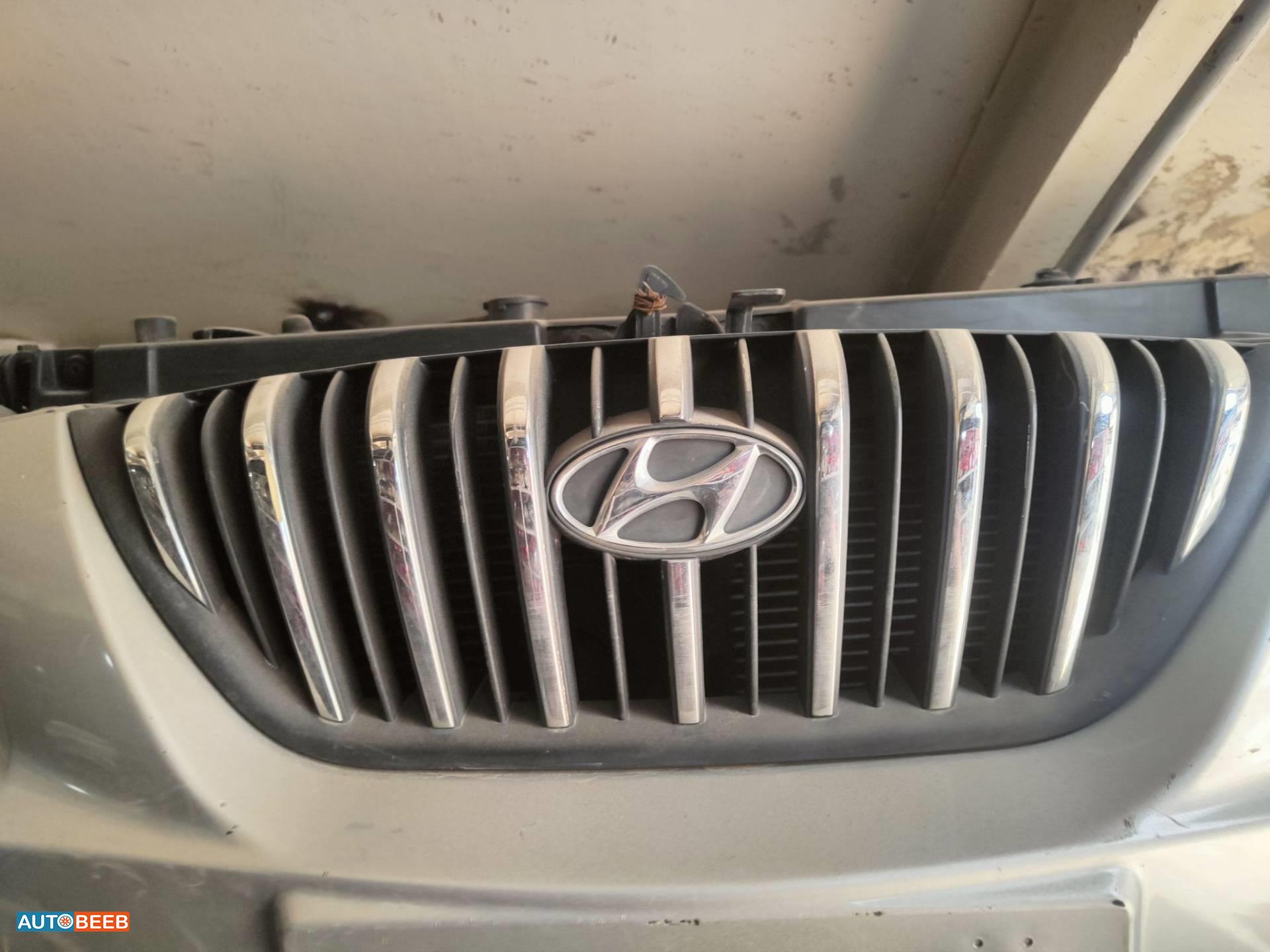 Body  Grilles Hyundai Elantra