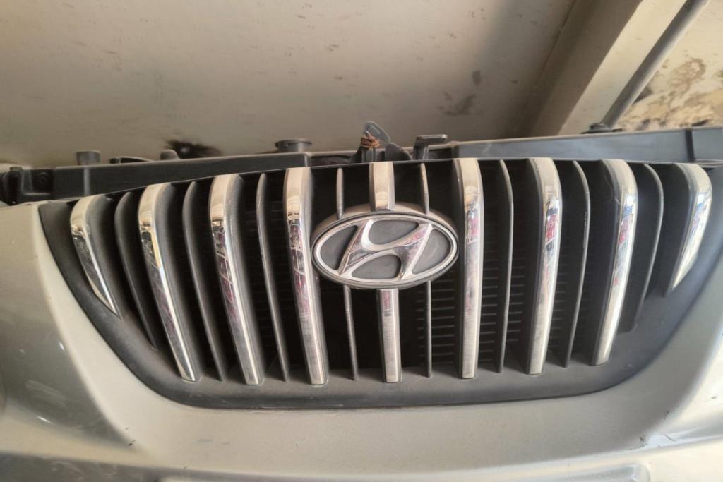 Body  Grilles Hyundai Elantra