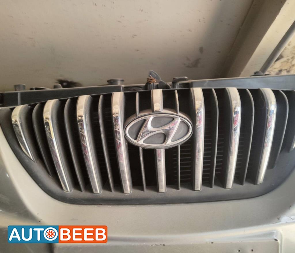 Body  Grilles Hyundai Elantra
