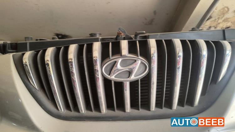 Body  Grilles Hyundai Elantra