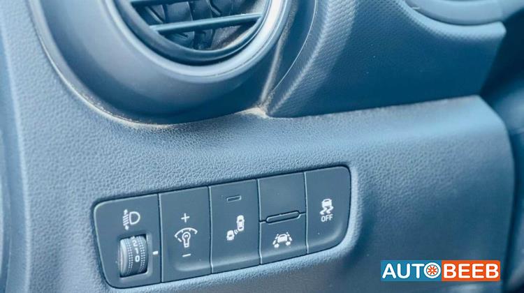 Hyundai kona 2019
