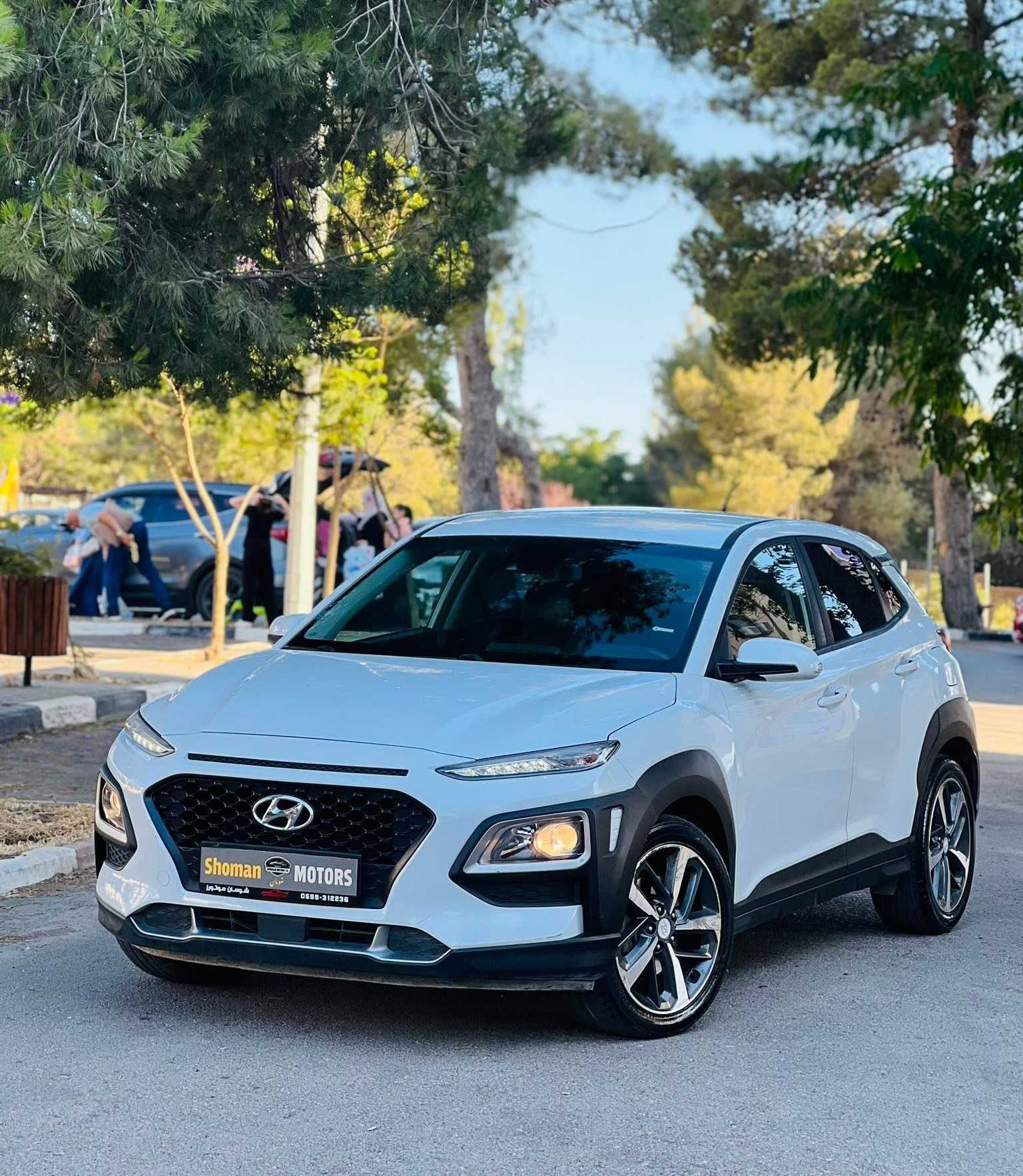 Hyundai kona 2019