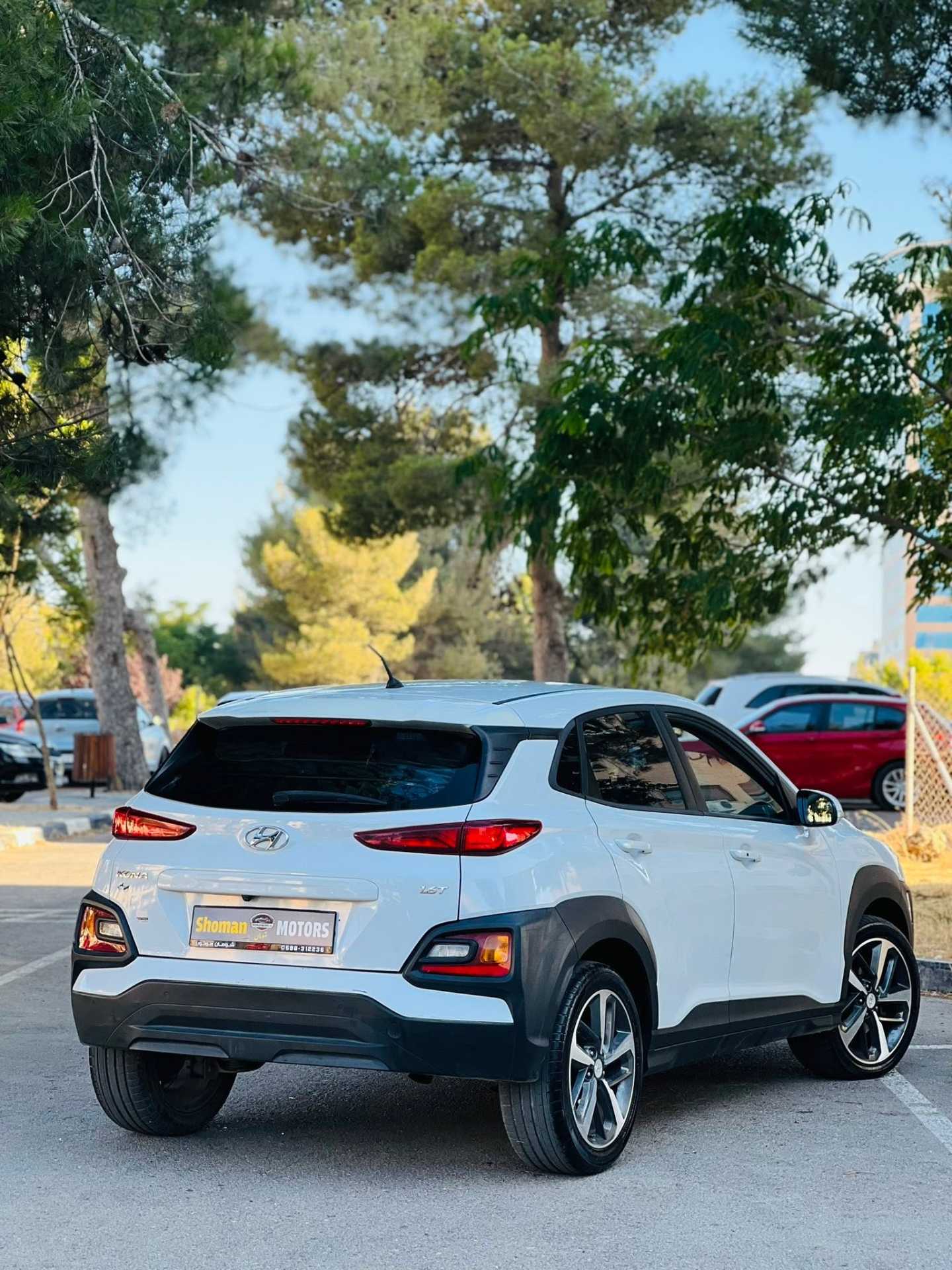 Hyundai kona 2019