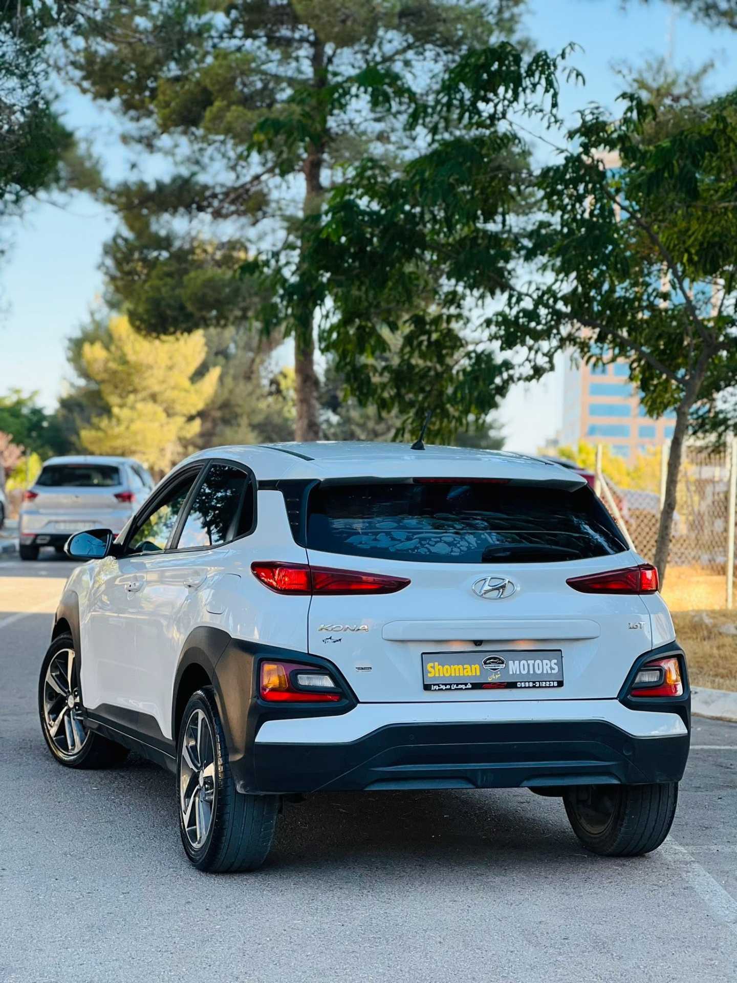 Hyundai kona 2019