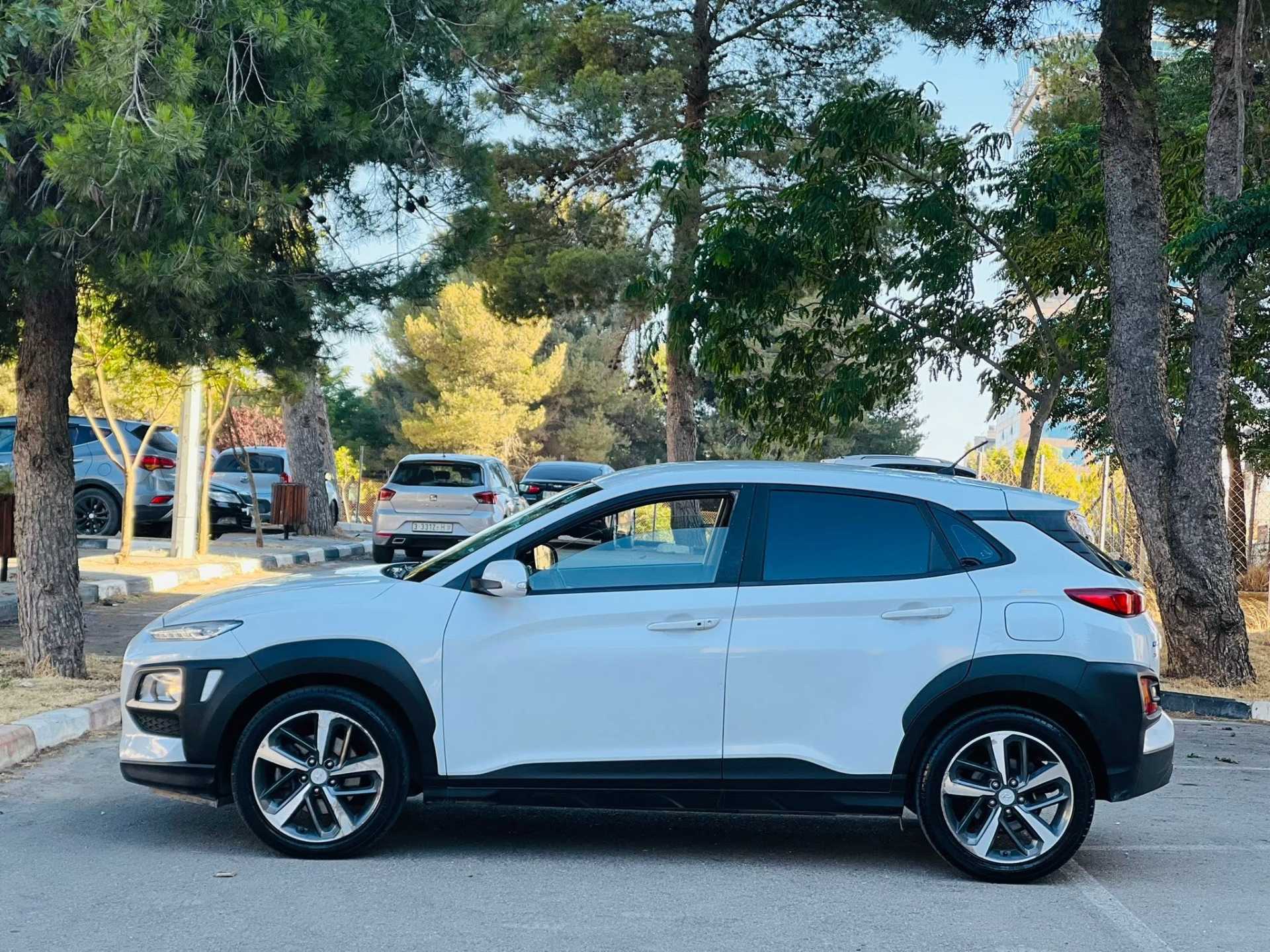 Hyundai kona 2019