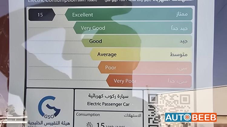 دونج فينج مايج 2027