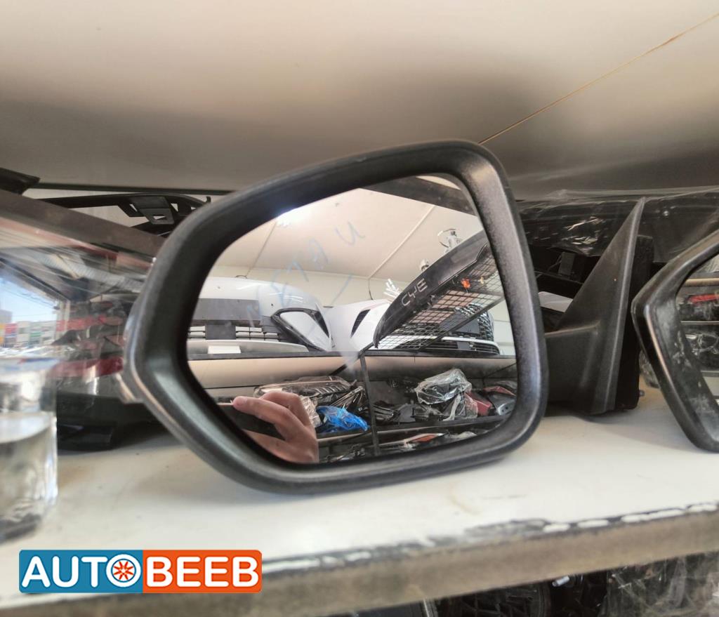 Body  Wing Mirror Neta U