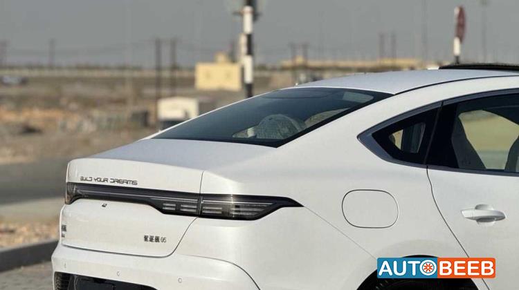 بي واي دي ديستروير 2025