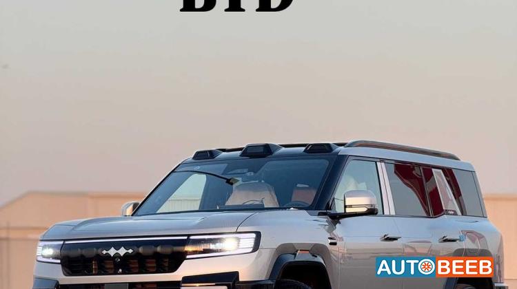 بي واي دي ليوبارد 8 2025