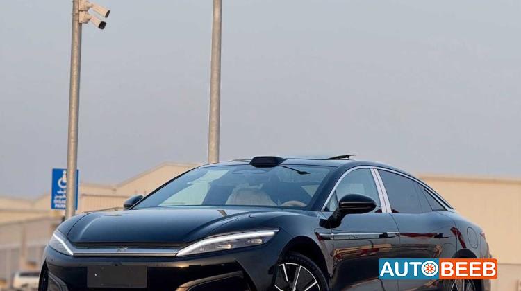 بي واي دي هان 2025