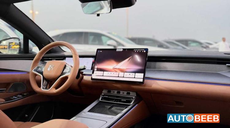 بي واي دي هان 2025