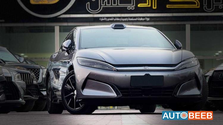 بي واي دي هان 2025