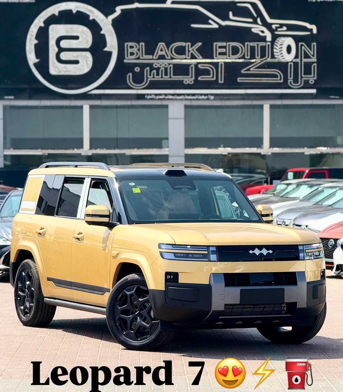 بي واي دي Ti7 2025