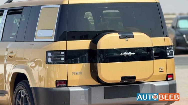 بي واي دي Ti7 2025