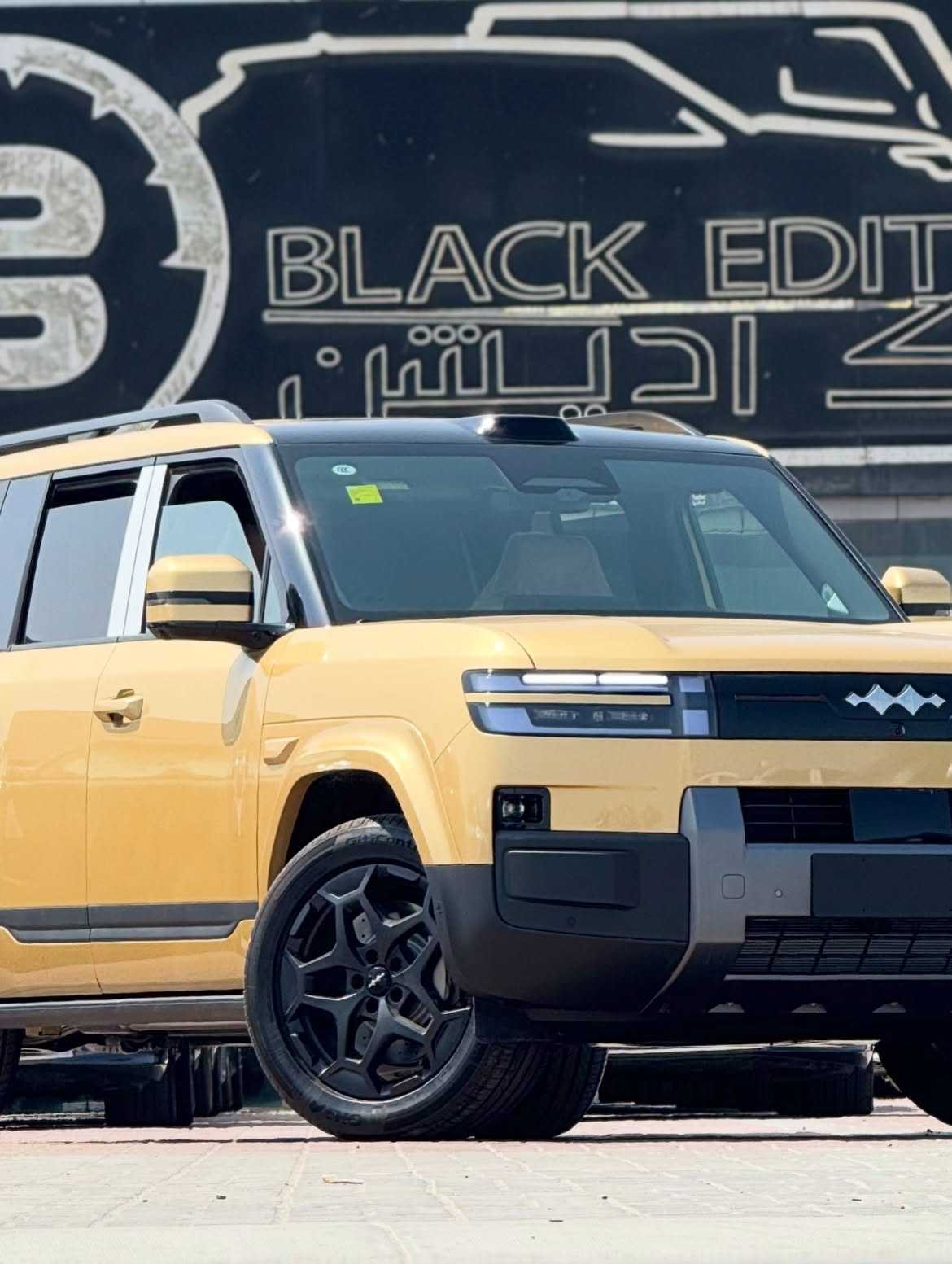 بي واي دي Ti7 2025