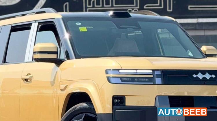 بي واي دي Ti7 2025