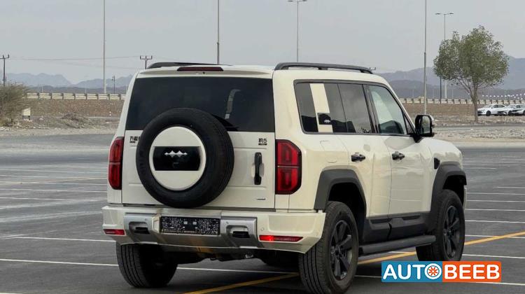 بي واي دي ليوبارد 5 2025