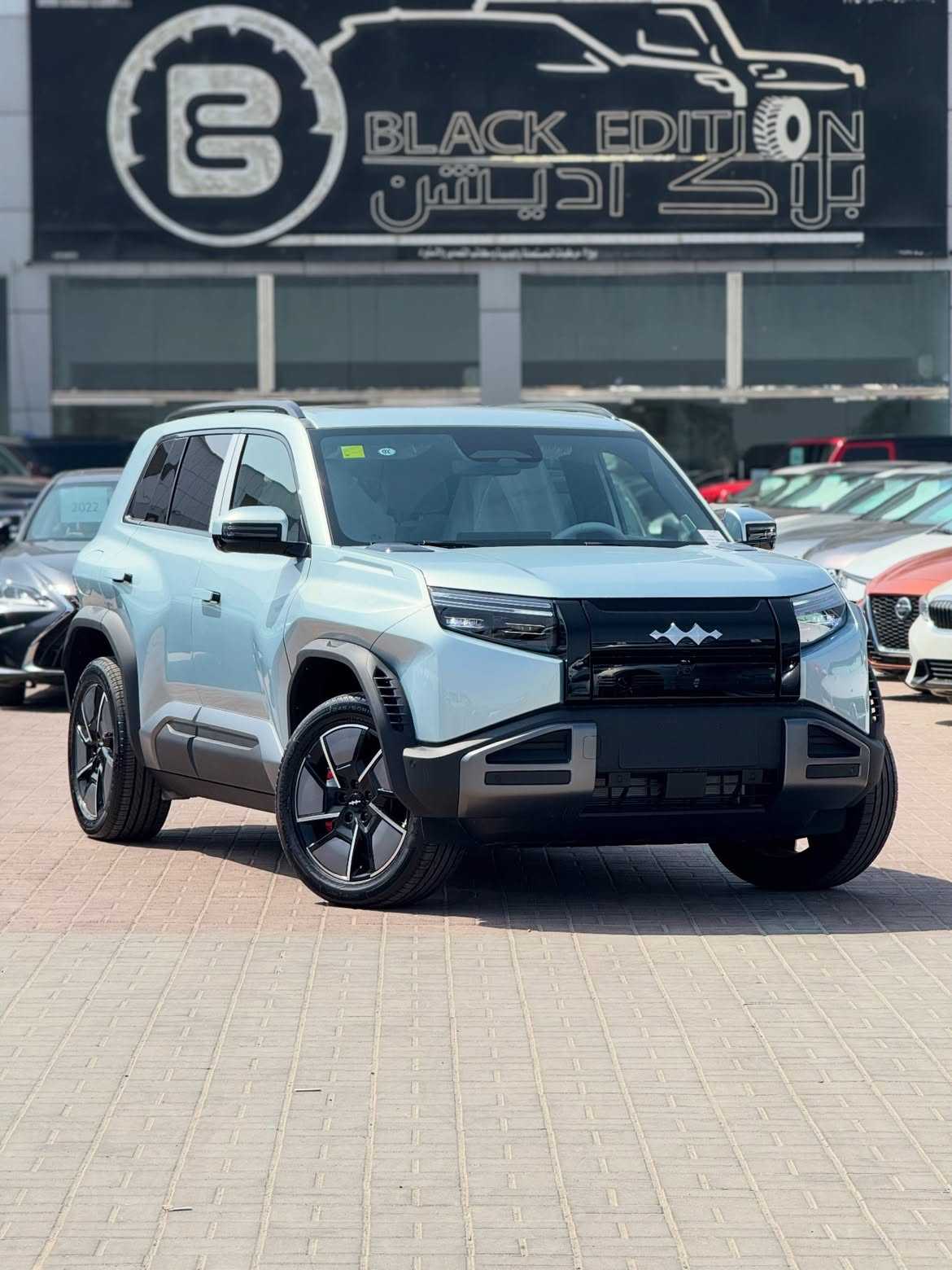 بي واي دي ليوبارد 3 2025