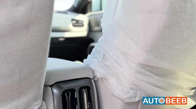 بي واي دي ليوبارد 3 2025