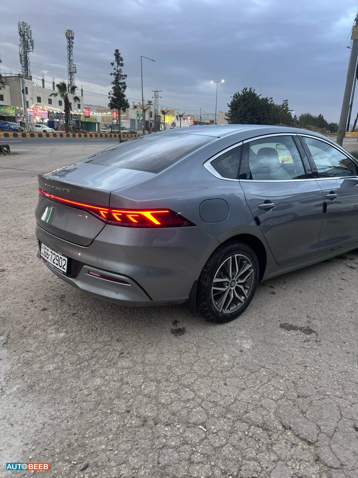 بي واي دي كين 2021