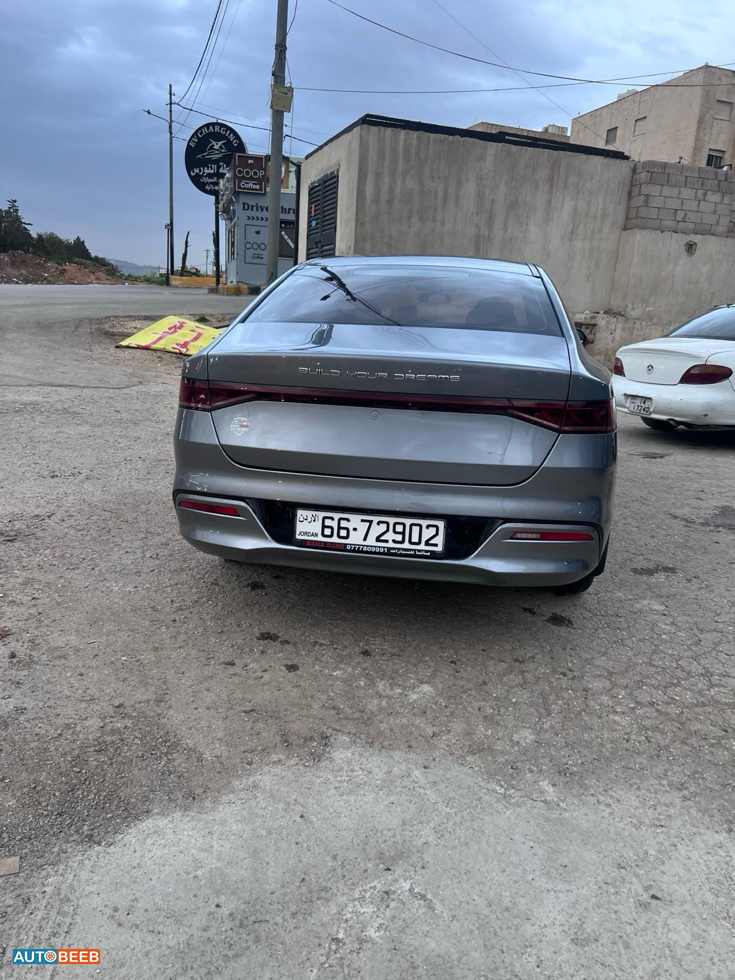 بي واي دي كين 2021