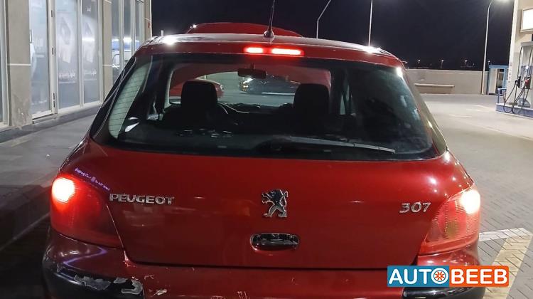 Peugeot 307 2005