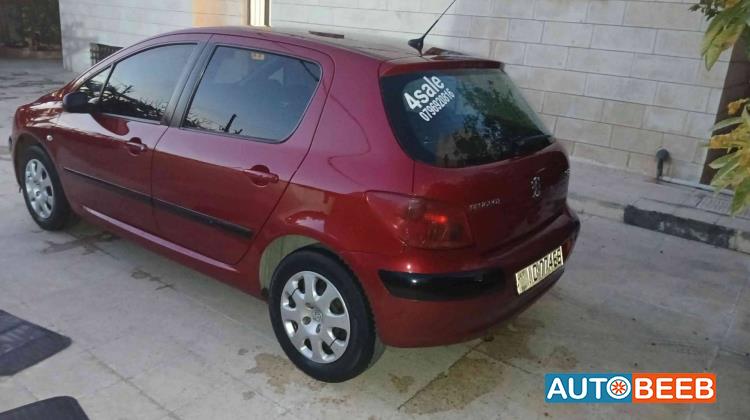 Peugeot 307 2005