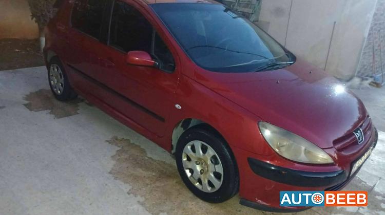 Peugeot 307 2005