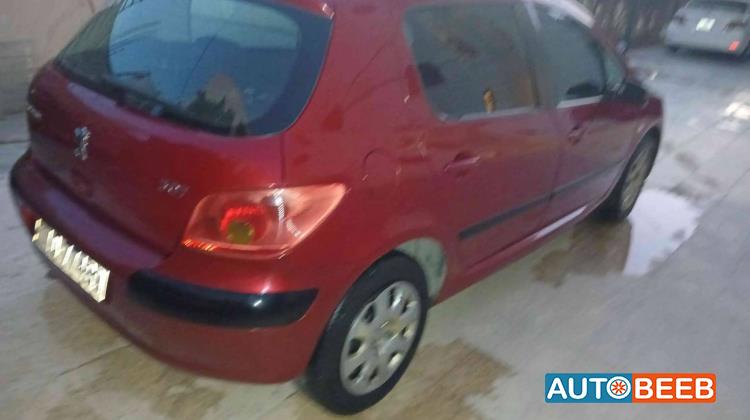 Peugeot 307 2005