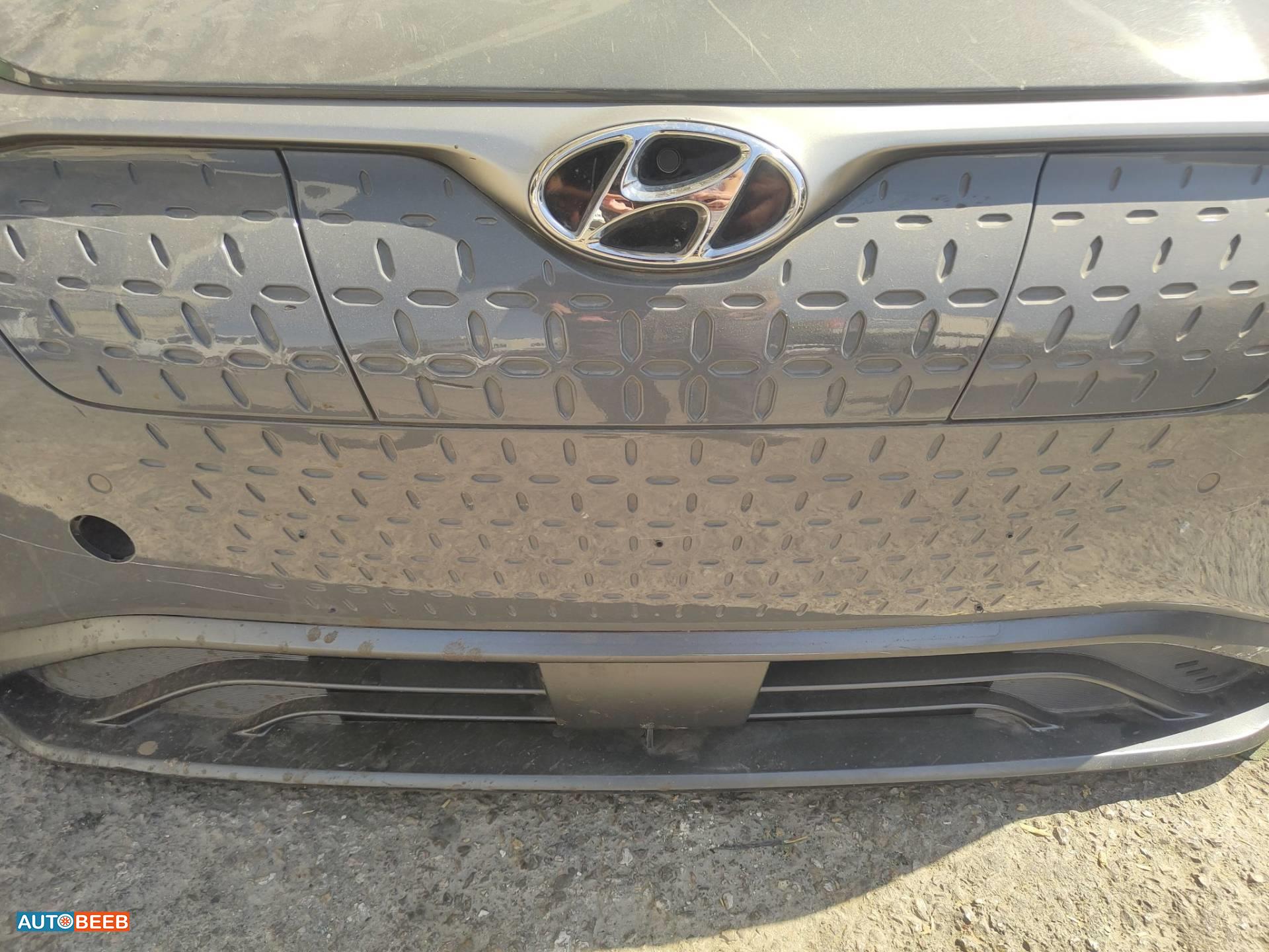 Body  Grilles Hyundai kona