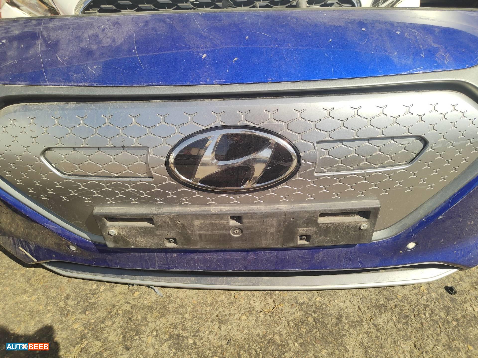 Body  Grilles Hyundai Ioniq