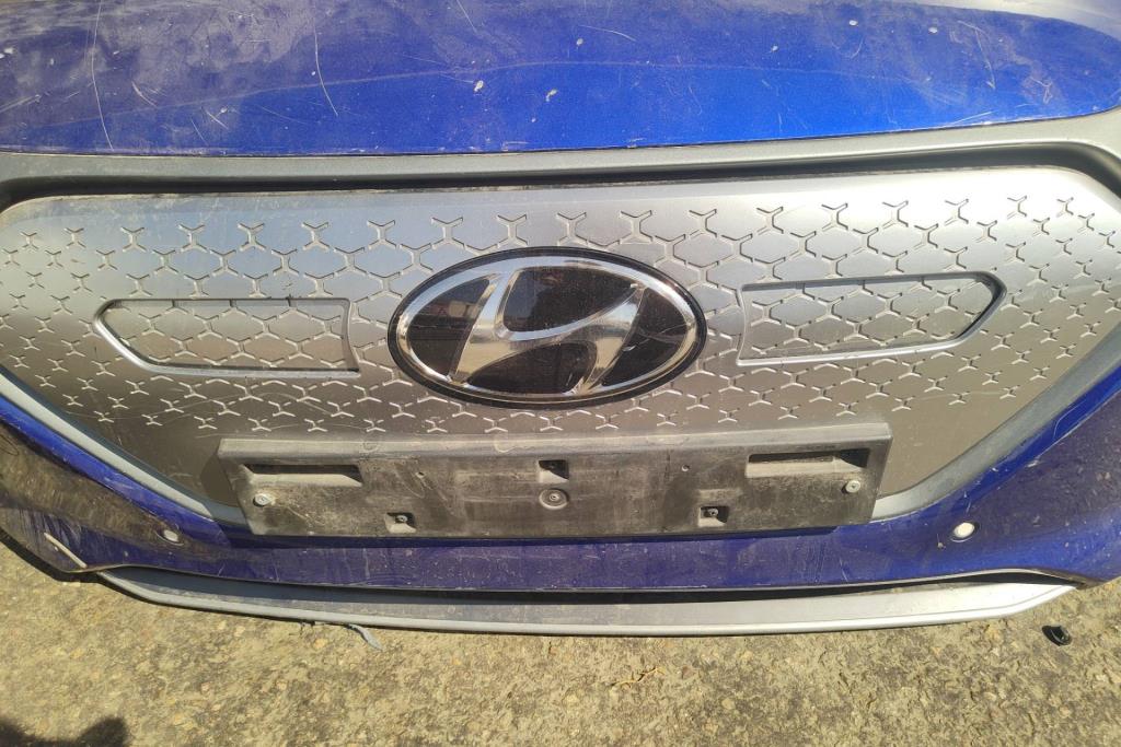 Body  Grilles Hyundai Ioniq
