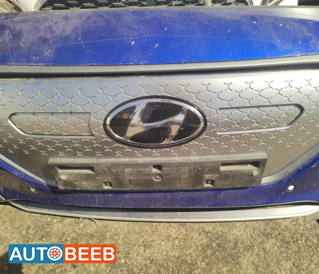 Body  Grilles Hyundai Ioniq