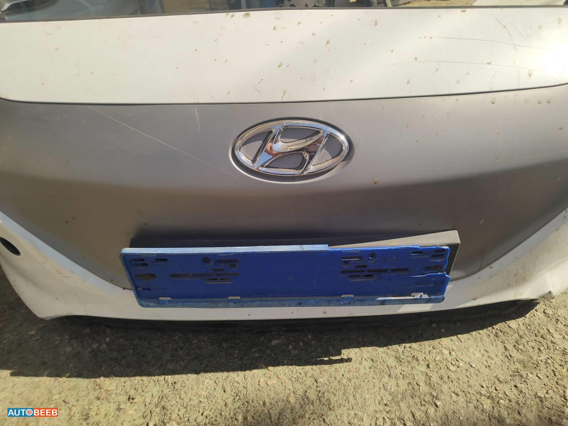 Body  Grilles Hyundai Ioniq