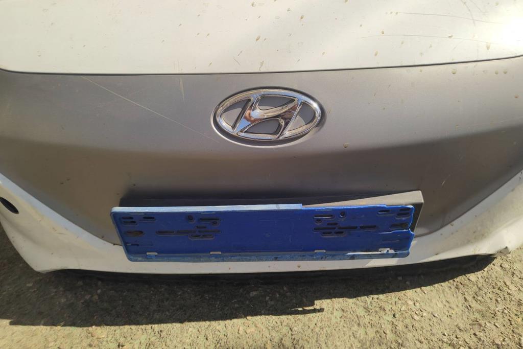 Body  Grilles Hyundai Ioniq