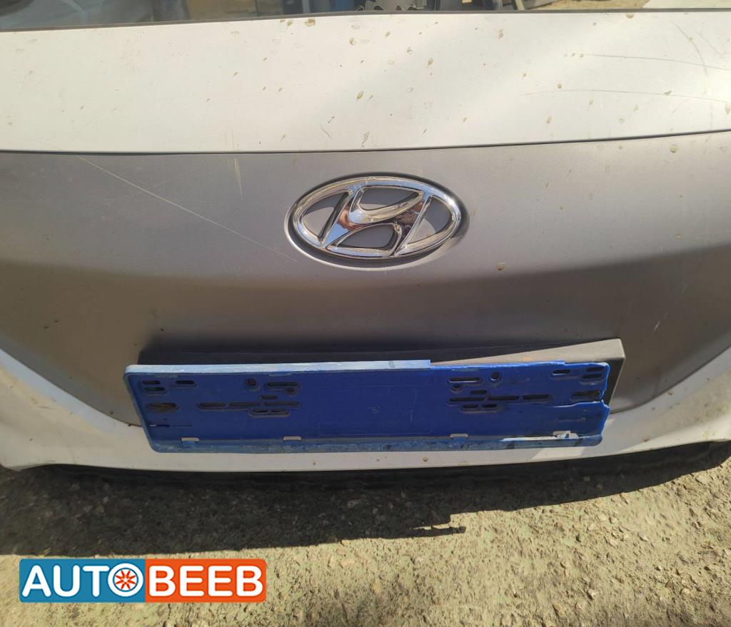 Body  Grilles Hyundai Ioniq
