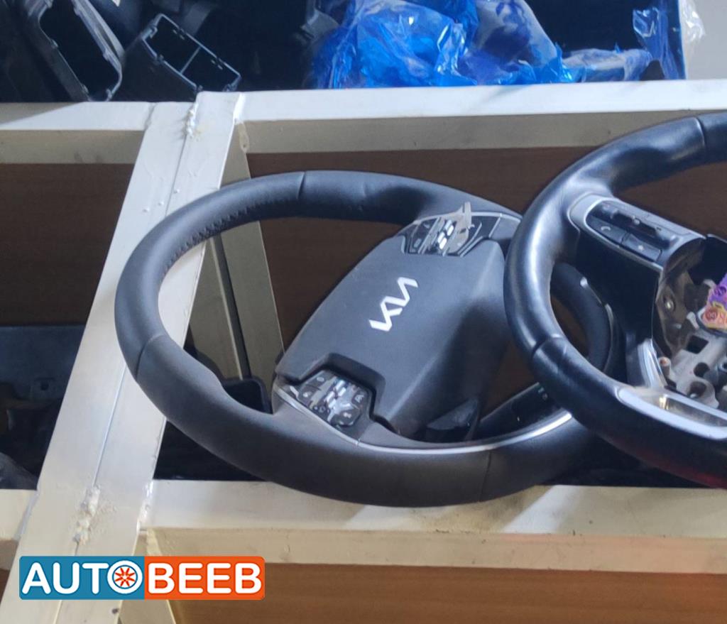 Cabin  Steering Wheel KIA EV6