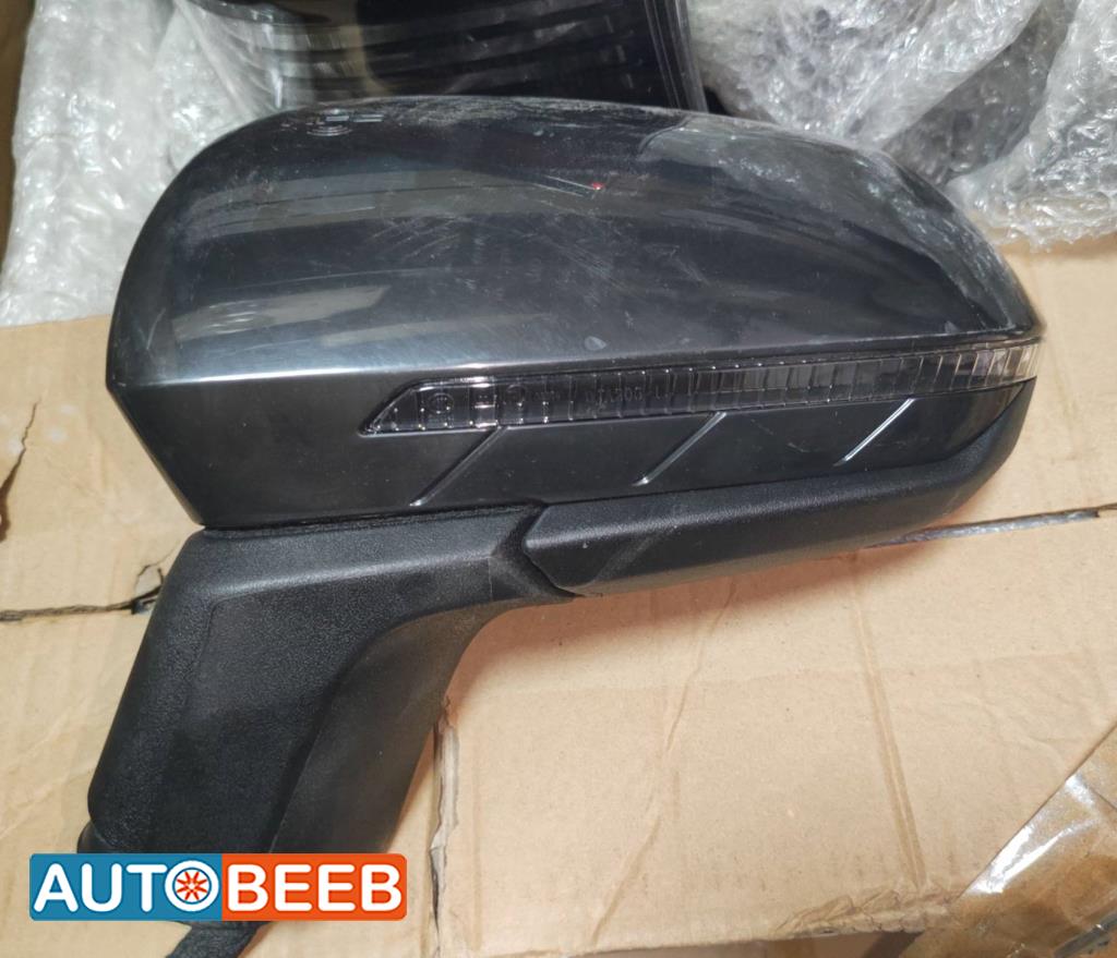 Body  Wing Mirror BYD Destroyer 05