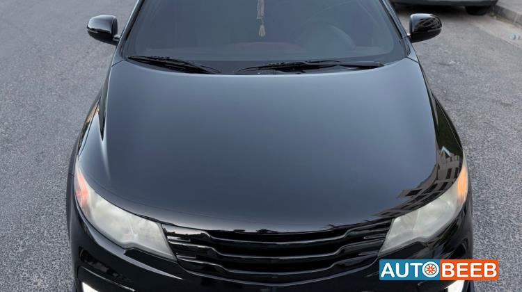 KIA Forte 2010